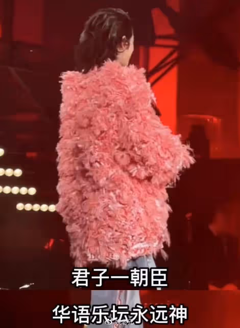 唱歌全靠吼，造型辣眼睛，演唱會割韭菜，華晨宇惹眾怒了？