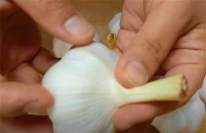 水晶糖蒜做法，想要酸甜好吃無辣味，重在糖醋比例，個個晶白透亮