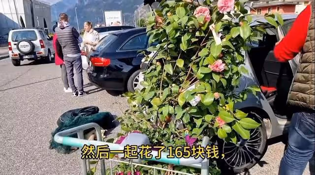 心暖老公單位開始裁員了,光頭哥準備跟心暖來中國?