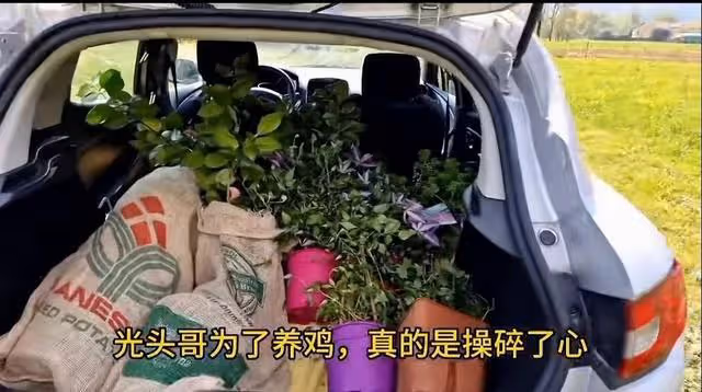 心暖老公單位開始裁員了,光頭哥準備跟心暖來中國?