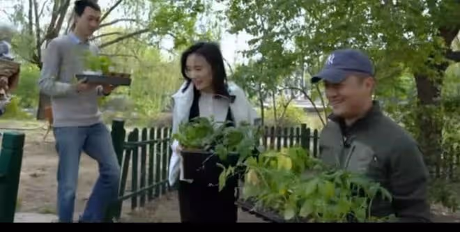 演員李亞鵬:北京菜地被施工人員剷平,表示要找施工方討要個賠償