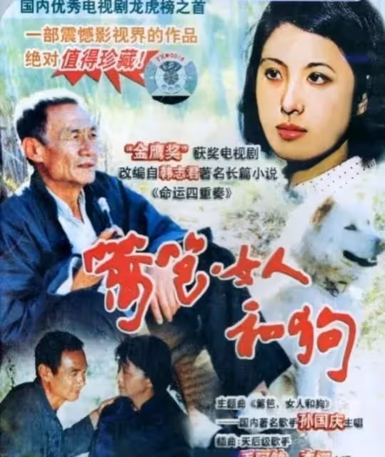 突發!電視劇《籬笆女人和狗》導演陳雨田去世,生前受盡疾病折磨