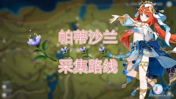 《原神》帕蒂沙蘭收集路線分享
