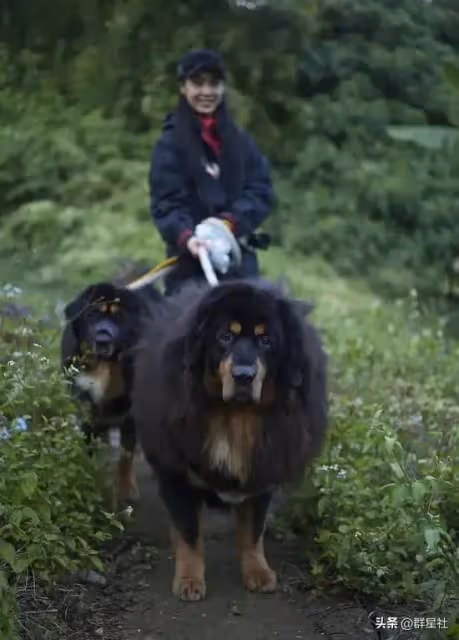 52歲朱茵現狀：住深山殘屋，開97年破車，她活成了娛樂圈李子柒
