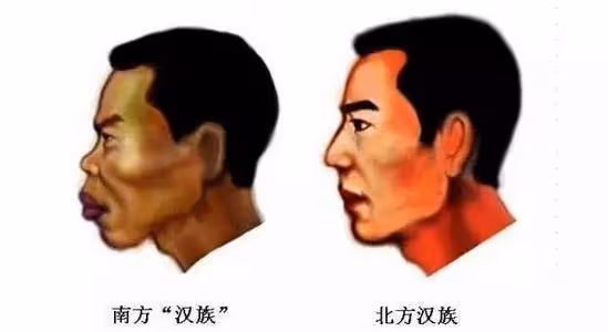 小學女生長得酷似迪麗熱巴,新疆小姑娘驚艷大眾:真正的天生麗質