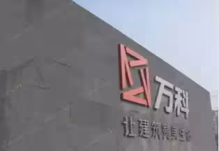 萬科金牌女秘書朱旭:年薪849萬,年終獎1000萬,如今47歲仍未婚