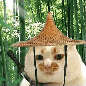 百萬女網紅被劈腿？推門而入發現男友與小三躺在床上！男主回應：早上酒店沒法入駐！