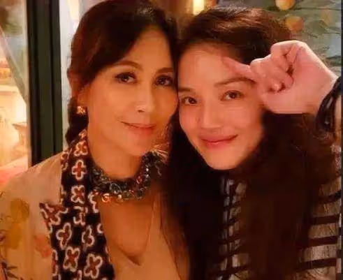 舒淇去劉嘉玲家做客,中途去廁所,劉嘉玲看後當場「讓人砸了馬桶」:根本無法忍受!