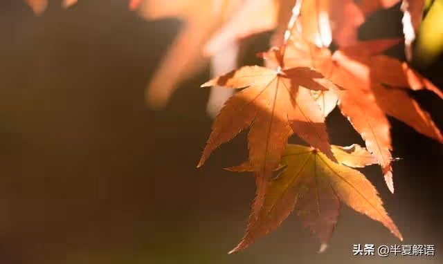 AA制6年，婆婆癱瘓，丈夫照顧3天後要求妻子辭職，妻子：一天500