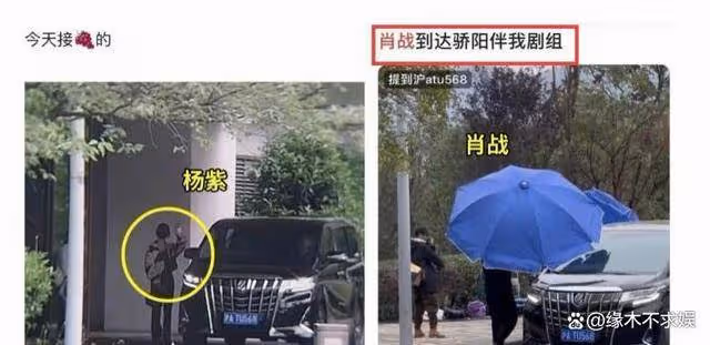 楊紫疑換新造型團隊，卻被質疑抄襲，和肖戰緋聞未澄清又陷新緋聞