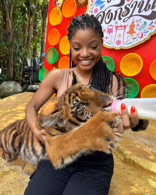 《小美人魚》主演訪問動物園惹爭議,和大猩猩合影遭嘲笑:像探親