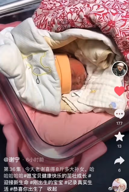 50歲知名演員一年無戲拍!回河北農村放羊種菜,鬍鬚花白乾勁十足