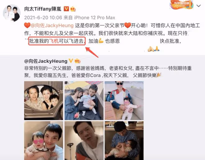 向太向華強包機回杭州,和小孫子視頻,郭碧婷兒子虎頭虎腦萌態足