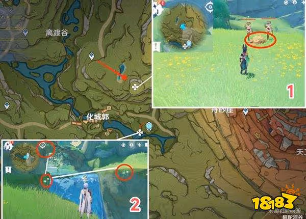 原神劫波蓮採集路線大全 劫波蓮詳細收集圖文位置分享