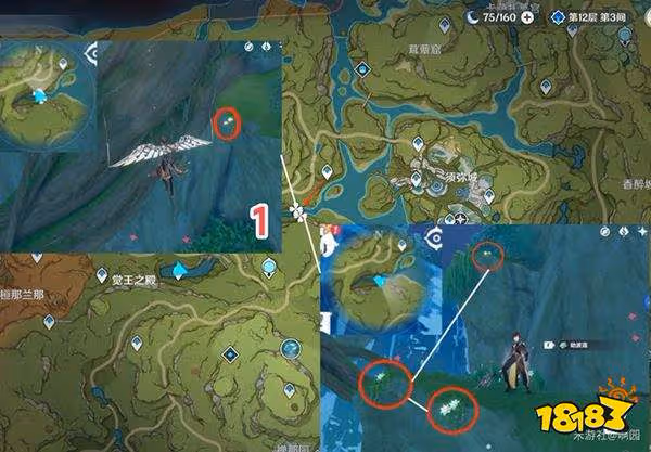 原神劫波蓮採集路線大全 劫波蓮詳細收集圖文位置分享