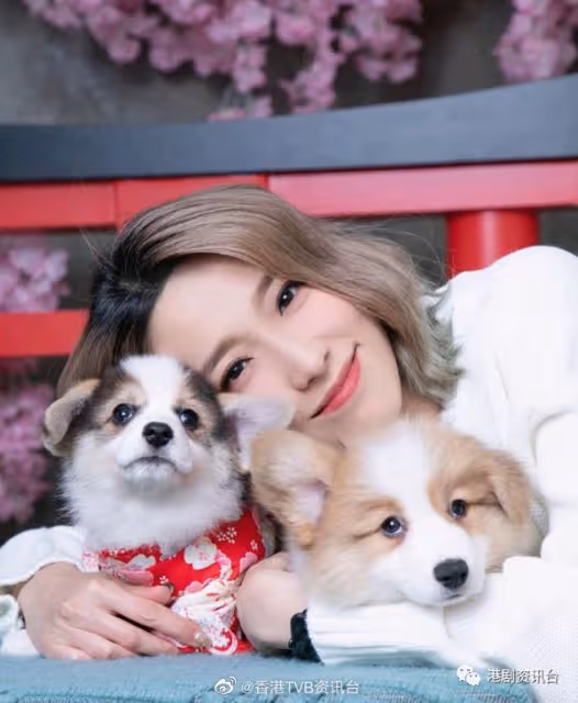 在「最靚花旦排行榜」倒數!TVB當紅女星去美院店急救