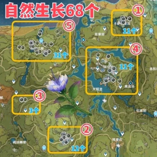 《原神》帕蒂沙蘭收集指南 帕蒂沙蘭怎麼獲得?