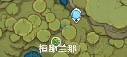 《原神》帕蒂沙蘭收集指南 帕蒂沙蘭怎麼獲得？