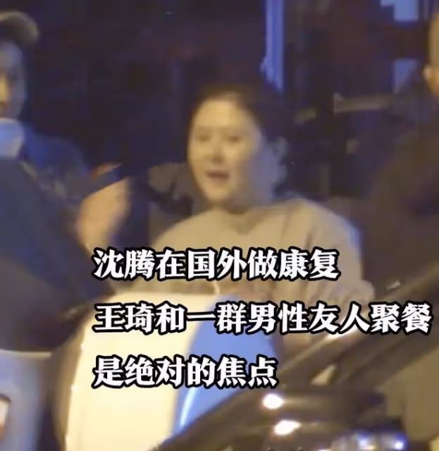 曝沈騰病情惡化,在日本獨自買藥、吃小餐館太心酸,王琦或將離婚