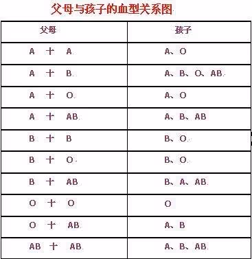 我是A型血,老婆是AB型血,孩子居然是O型血!狠心和妻子失婚後收到的一封遺書讓我痛不欲生!原來老婆是...