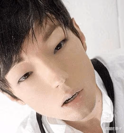22歲加拿大男星花156萬變臉成BTS朴智旻,整形12次不幸過世