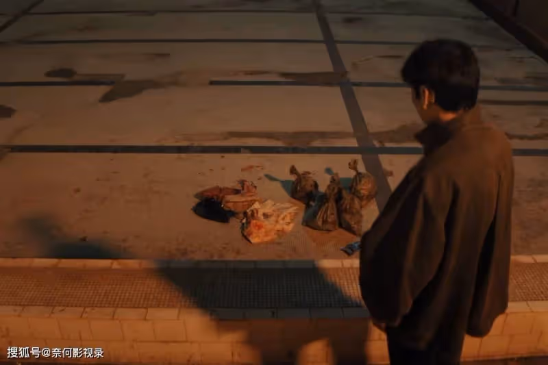 《漫長的季節》兩對情侶2種結局，沈墨王陽最悽慘