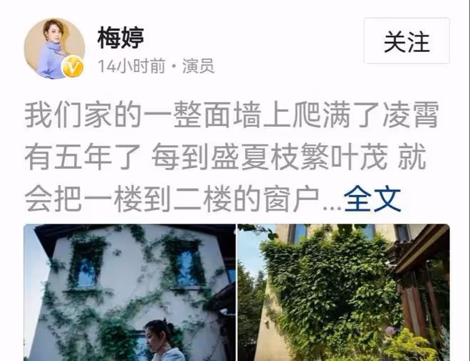 48歲梅婷疑似懷三胎,曬照片肚子凸起眼圈發黑,家中豪宅意外曝光