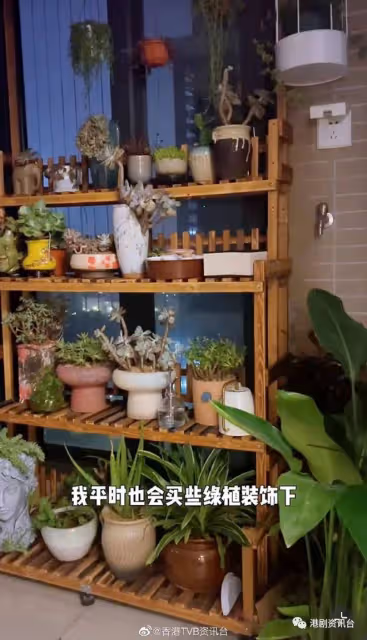 TVB離巢男星北上發展變紅！拍居家視頻被質疑講大話：插座是內地的