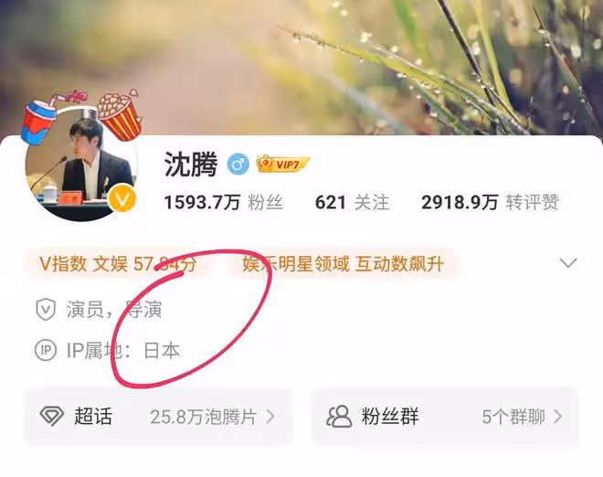 一晚兩大瓜!曝沈騰病情惡化老婆要離婚,鍾麗緹女兒半裸照曝光