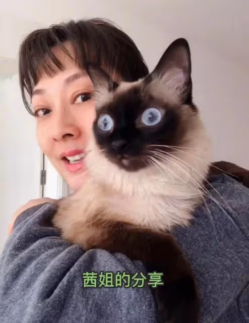 張衛健陪老婆應酬路邊苦等,張茜醉酒手舞足蹈,無子定居北京豪宅