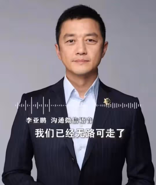 李亞鵬拒付投資收益，被強制執行4000萬元，遭網友冷嘲熱諷