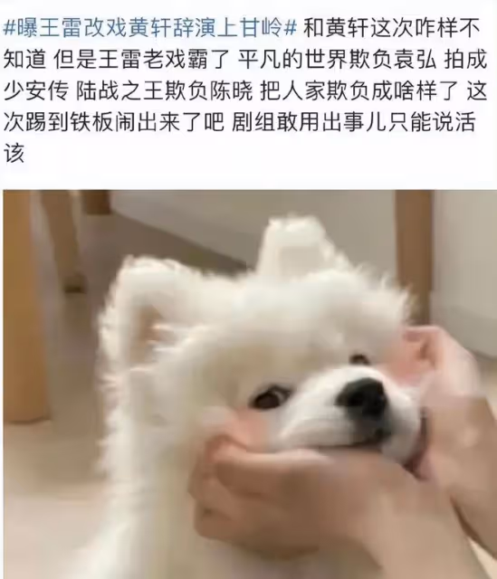 曝王雷改戲惹怒黃軒，兩人在片場大鬧，陳寶國也曾暗示王雷是戲霸