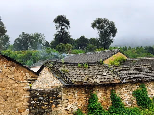 我摔傷腿，兒媳接我去城裡養病，飯桌上孫子童言無忌，我選擇回村