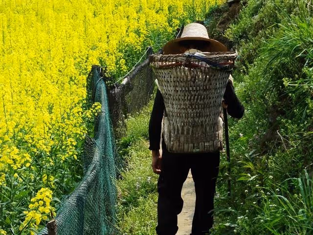 退休金7000給兒子，存款50萬給兒子，房也給兒子，現在卻無路可走