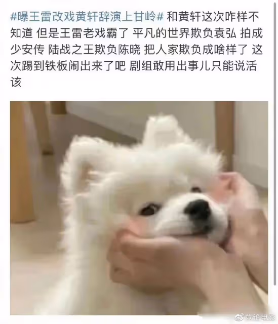 王雷疑被指戲霸，搶黃軒的戲，陳寶國曾內涵自己被王雷帶著演戲？