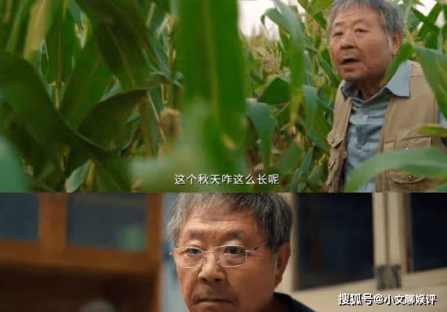 《漫長的季節》豆瓣開分是多少?《漫長的季節》劇評是怎樣的?