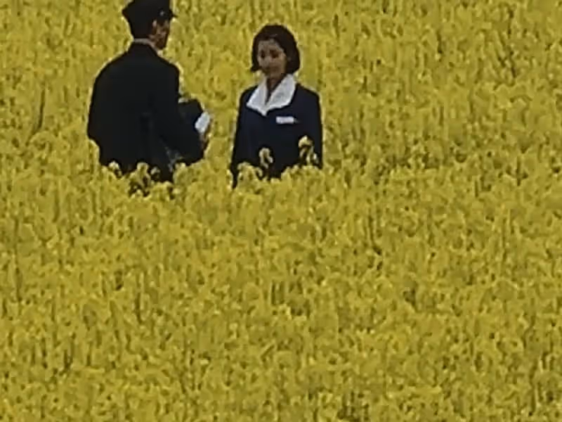 IU朴寶劍劇組，阻攔遊客拍照？被韓國網友爆料，網友們爭論對錯