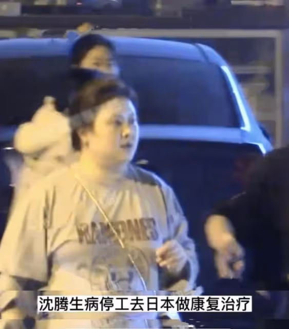 沈騰退圈傳聞後續:因病退圈被日媒證實,1.2億或被王琦分走一半