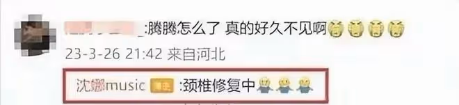 沈騰退圈傳聞後續:因病退圈被日媒證實,1.2億或被王琦分走一半