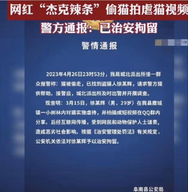 網紅傑克辣條:虐貓被抓,視頻被扒觸目驚心,發文道歉內容被質疑
