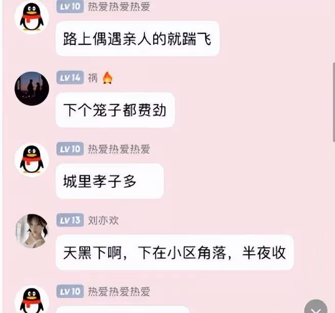 網紅傑克辣條:虐貓被抓,視頻被扒觸目驚心,發文道歉內容被質疑