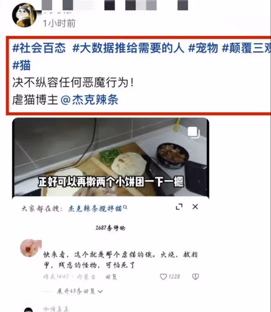 網紅傑克辣條:虐貓被抓,視頻被扒觸目驚心,發文道歉內容被質疑