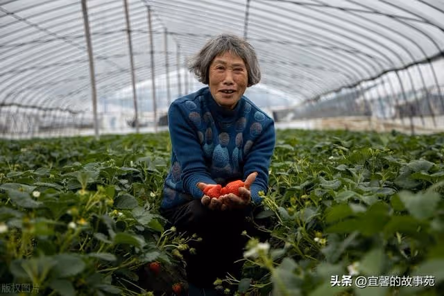 她拿75萬給我弟買婚房,夜裡我打出1個電話,我媽的臉變了