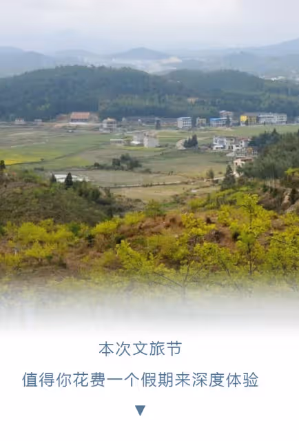 仙遊人,你的五一假期被承包了!電影、音樂、露營、美食...