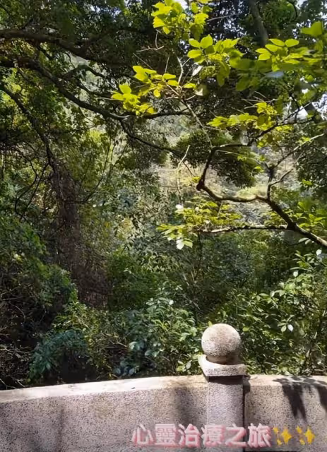 郭嘉文享受五一假期,曬玫瑰花說情話,和閨蜜開啟治癒之旅