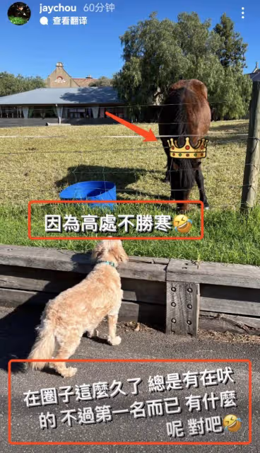 周杰倫自稱第一遭群嘲,本尊回懟將鍵盤俠比作狗,卻不帶一個髒字