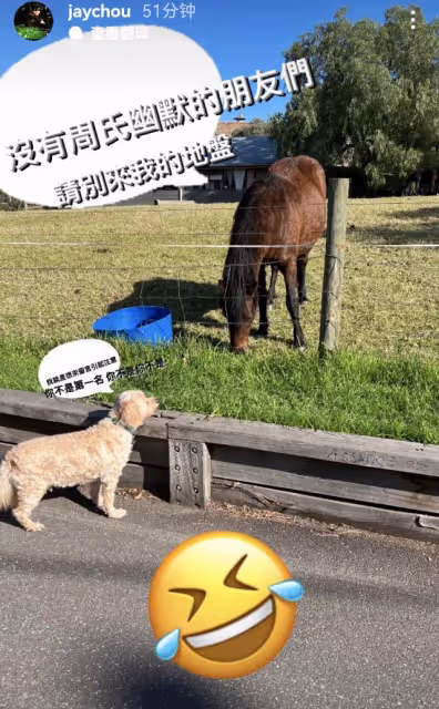 周杰倫自稱第一遭群嘲,本尊回懟將鍵盤俠比作狗,卻不帶一個髒字