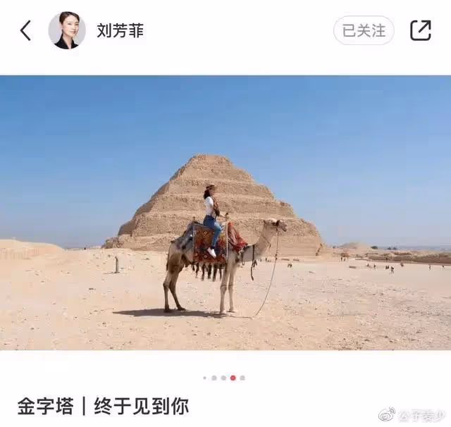 央視劉芳菲遠赴埃及!身材苗條優雅像仙女,隱退3年46歲仍單身