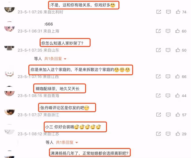 張丹峰洪欣官宣離婚,女方獲祝福,男方評論區淪陷飆髒話懟網友