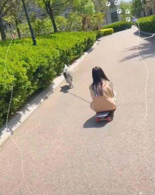 李小璐疑似虐狗,對狗狗做出不當行為,網友指責她教壞了甜馨